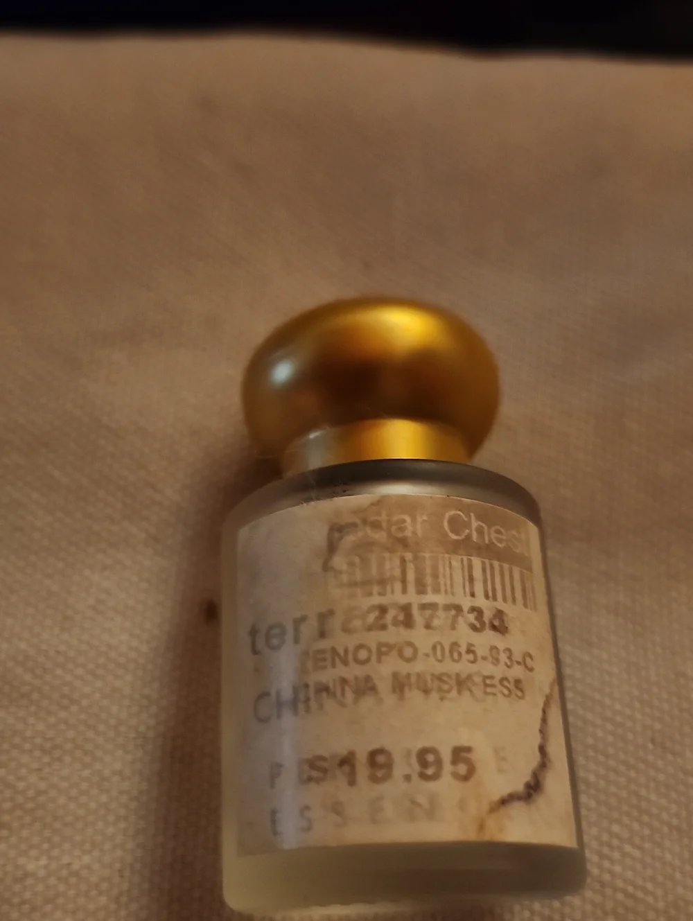 China Musk. TERRA NOVA